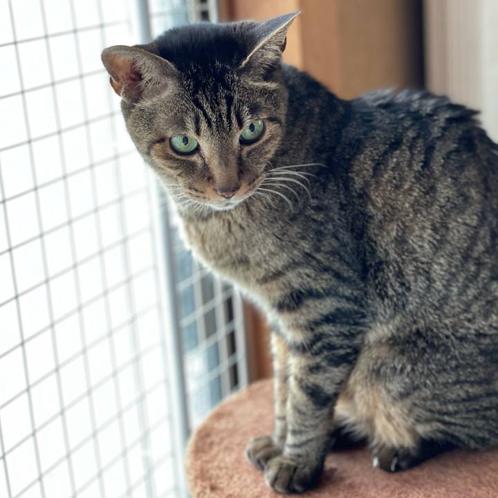 03411bc3 48ec 49a3 8d45 98a42474b7f8 1617673321904