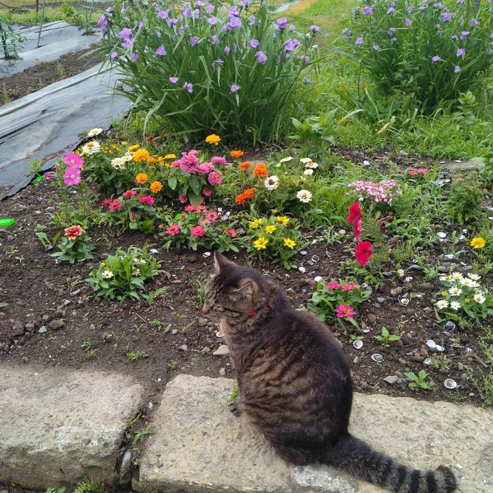 03412734 5c34 4463 b522 d3706d695270 1686434113672