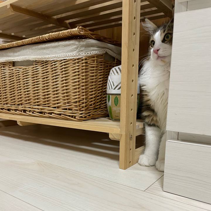 03414a8d d05e 43d6 a616 8e342ec487d7 1637844241172