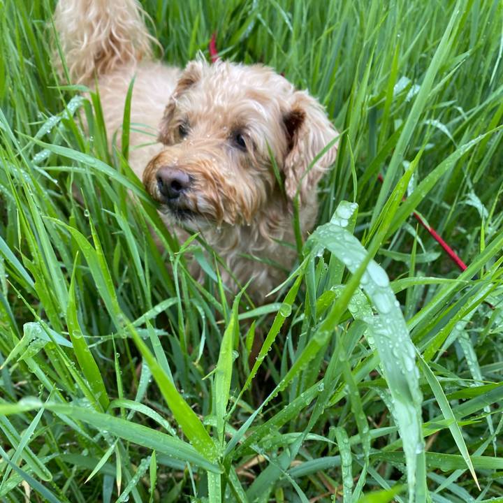 03414ea2 81c6 47b2 84d5 6758b3085cb7 1654035480996