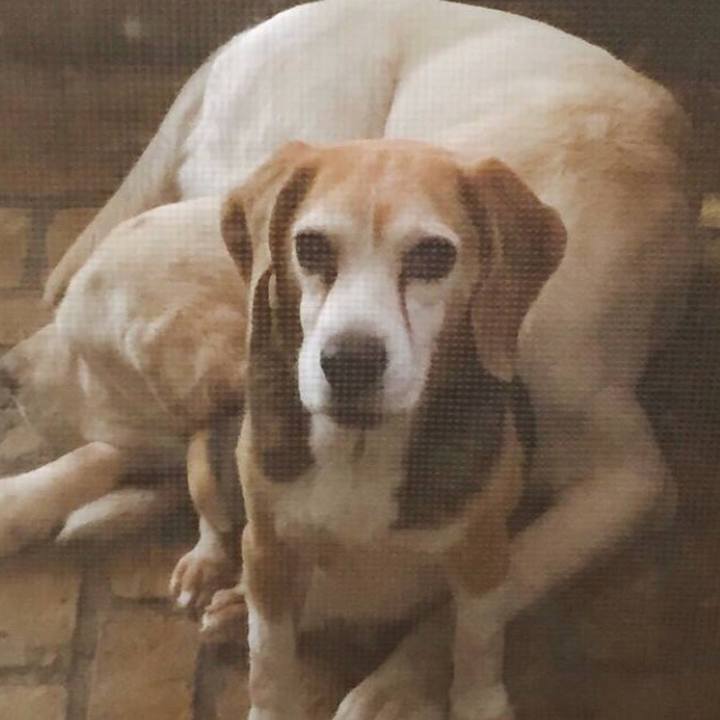 034177cf ca89 4397 8691 ab86886ccad2 1534200889082