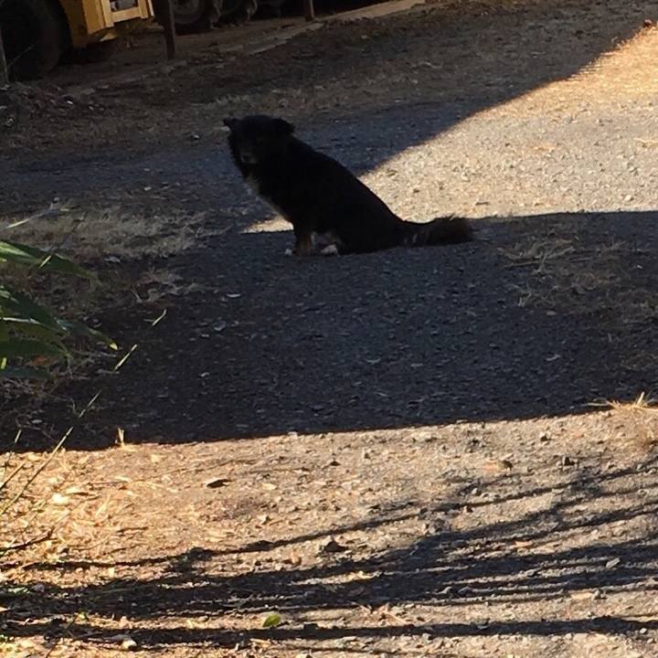 03417ac5 b980 4923 b6ce 23273401db66 1549958035731