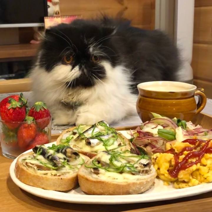 0341a447 d2a4 4d45 b211 a91b026d1f39 1549852626485