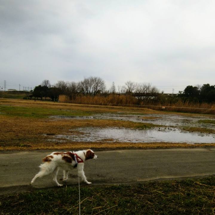 0341b284 fdfb 466e b188 7408286425e5 1552349164692