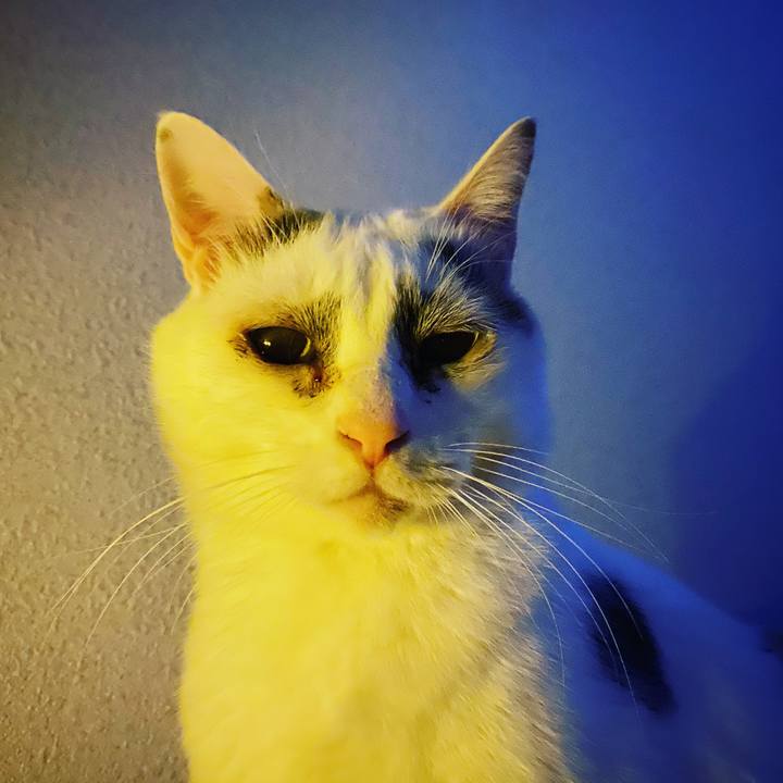 0341c967 edc6 4a9f ba4e 9e7b472ef138 1617039943854