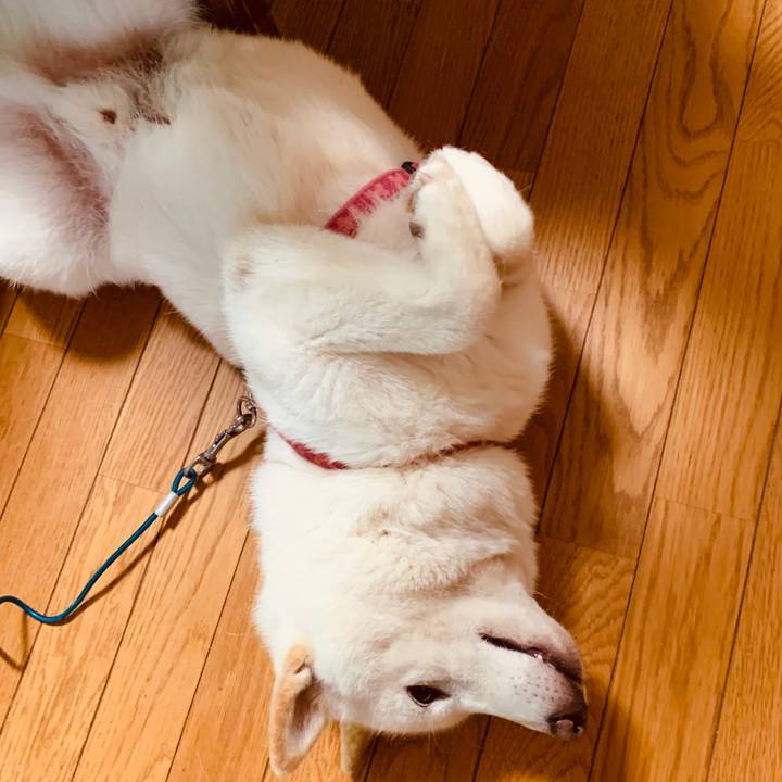 0341e688 a9bd 4544 b7d2 81be87813981 1593637599671