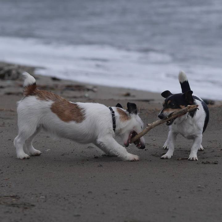 03422141 3eaa 41a3 910e 7296efbe7b66 1639711078242