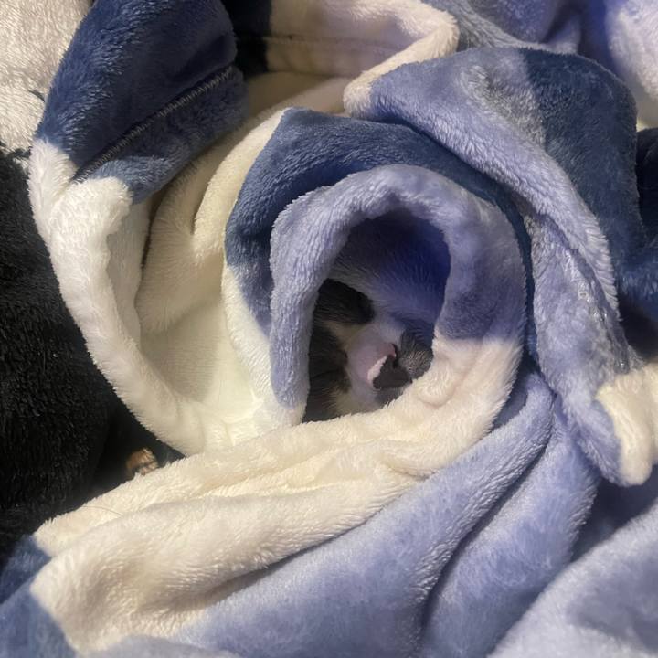 03422207 19ed 4aca a0d0 e1af2c805540 1737462981162