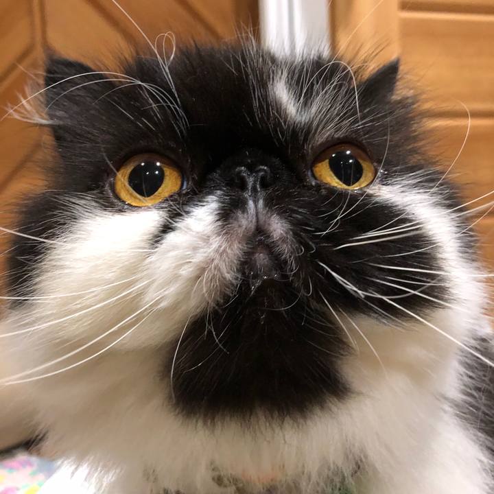 03422c20 b9b5 4020 ae25 b7704cd1a3e8 1633643133868