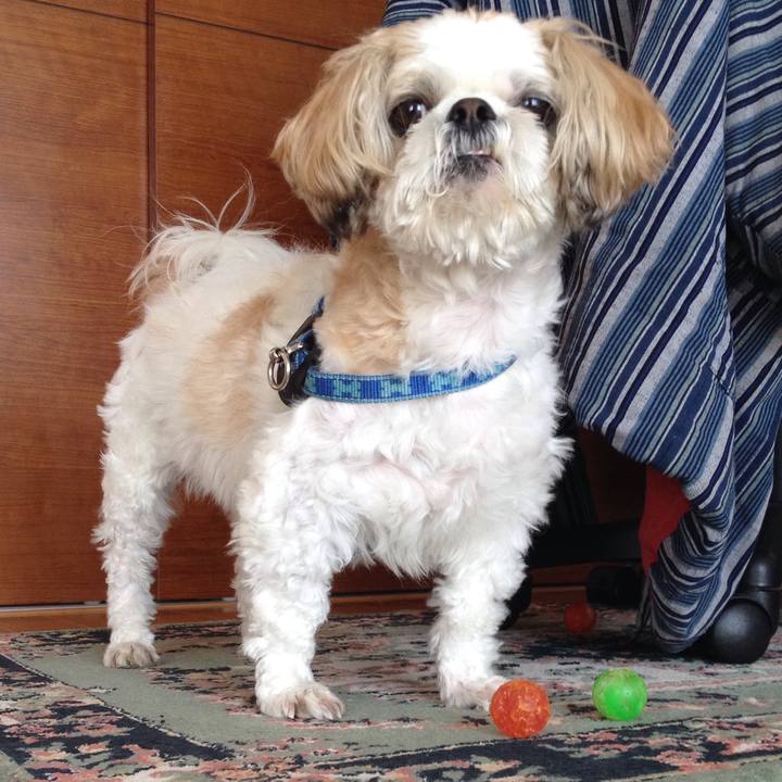 03423022 e8e4 4991 93dc 225ccc5894aa 1509917376126