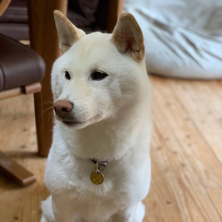 03424017 adfc 4a0e b08a bfec254c9494 1578037953908