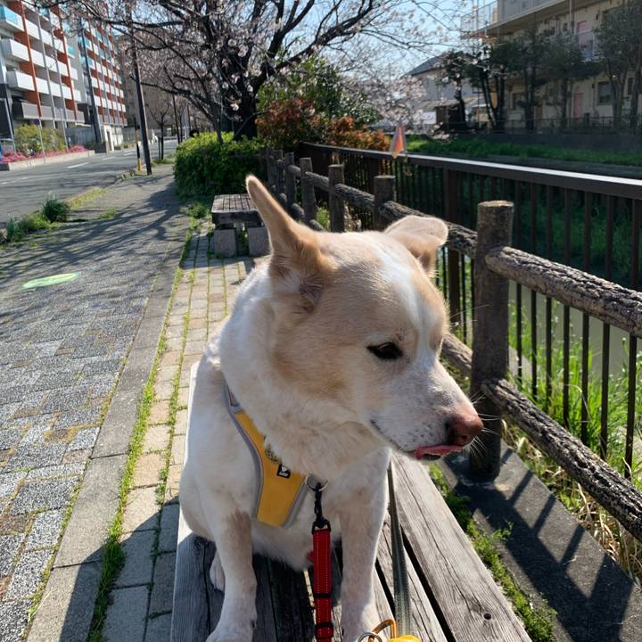 03426639 d5ba 46b6 83a7 a983f1315594 1586051304048