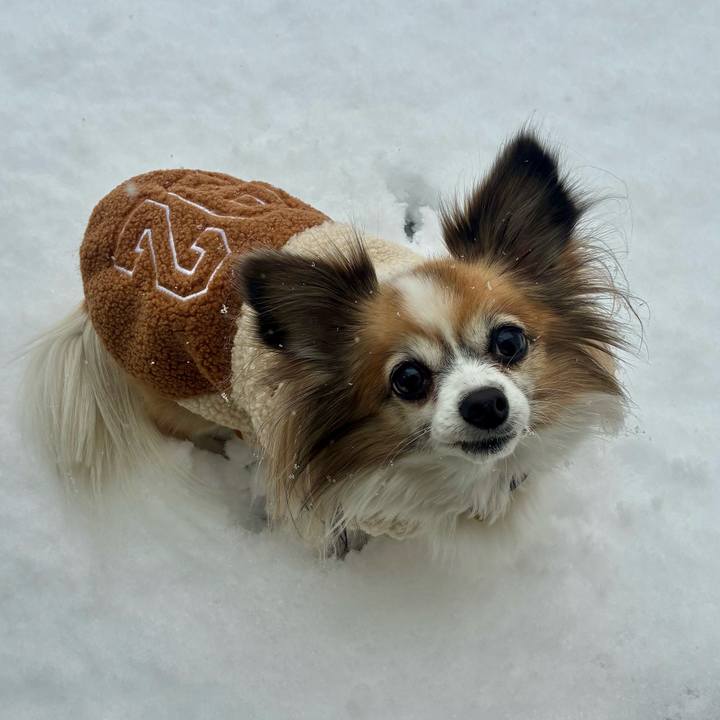 034275f1 b834 4df0 8126 d2944cb701d5 1770514933591