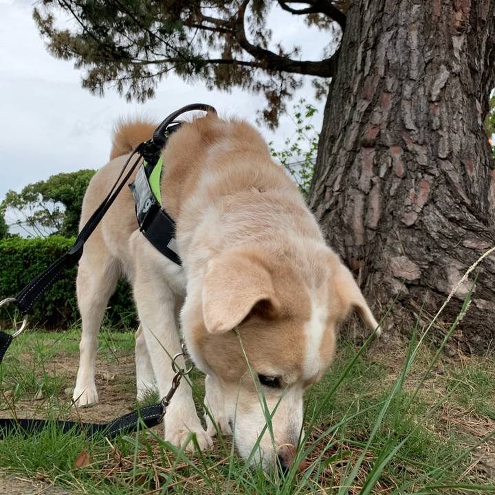 03430489 15b4 4b90 b241 bdcd97c72239 1600555417740