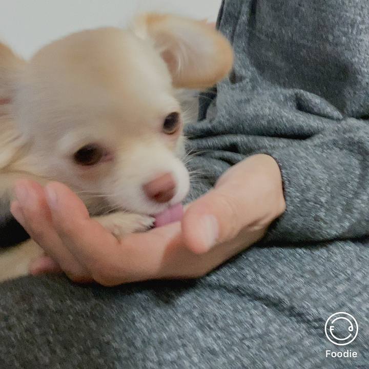 03430f9c 7c09 4f71 aa30 d1499067e635 1603055002766