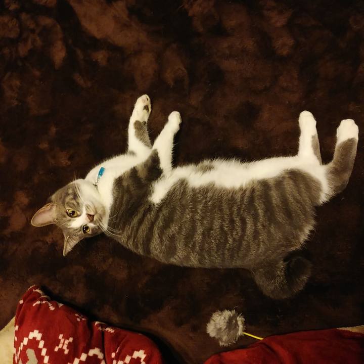 034347fd 8031 47ec a916 749e9460a976 1584019617248