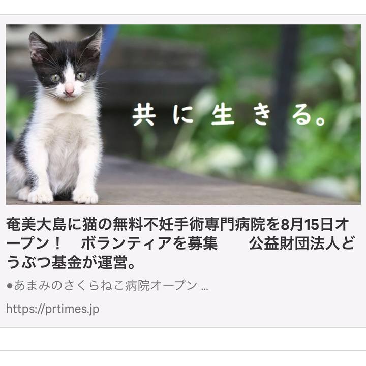 03438086 0278 4a7d b2bc ed4030e0b33b 1533008840450