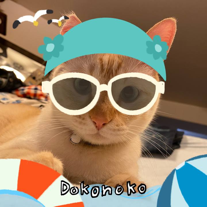 0343c00e 34ca 49e1 9ae7 6112c792a967 1723710507069