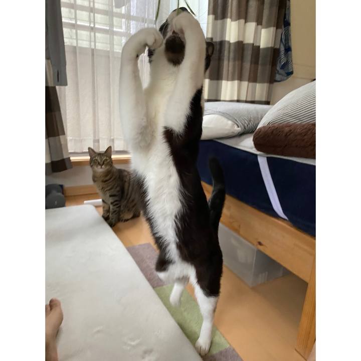 0343e0f7 854e 4c4d b633 780e1a73a477 1664327776242