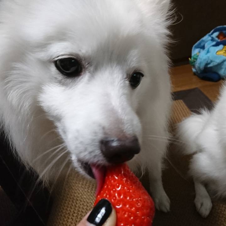 0343f73f 206e 4f44 b229 67221ed450a9 1577622032842