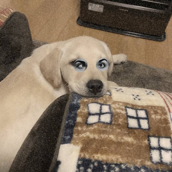 034419da 54af 4add bcfb 59a01b351d88 1612962936714