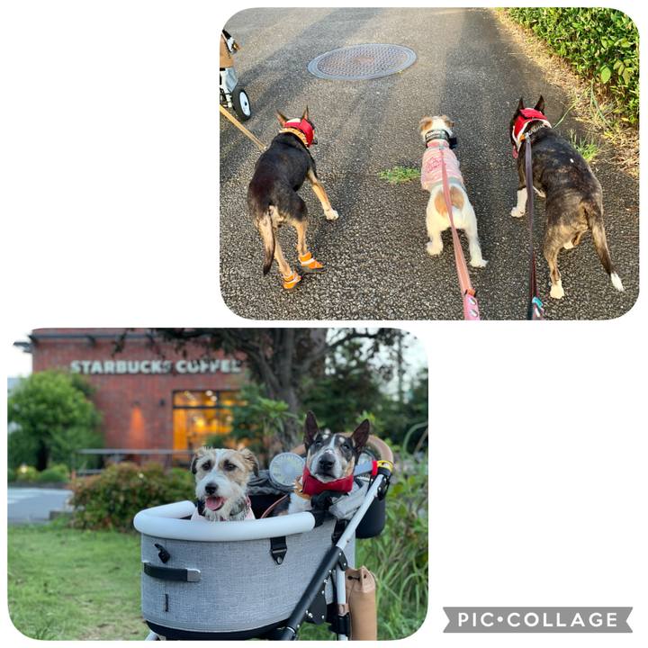 03442a4b 11d8 4740 9b2e 7a056103a4bc 1627731953525