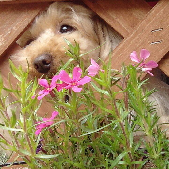 03442cd4 0611 406c ab1c 6f97b3f51493 1525260939422