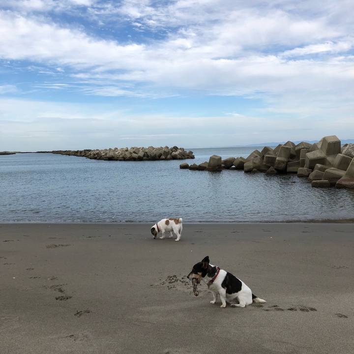 034466c9 e944 4ccd b174 6271e402767a 1536711740167