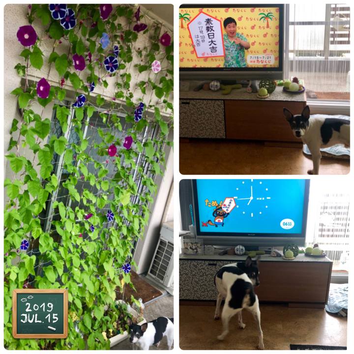 0344b1d7 c662 4320 9ccd f7d3a16cbeff 1563143377328