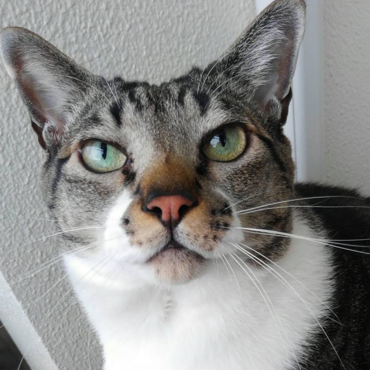 0344bcbf 9b63 4817 b56b 8ead847146a0 1514938194662