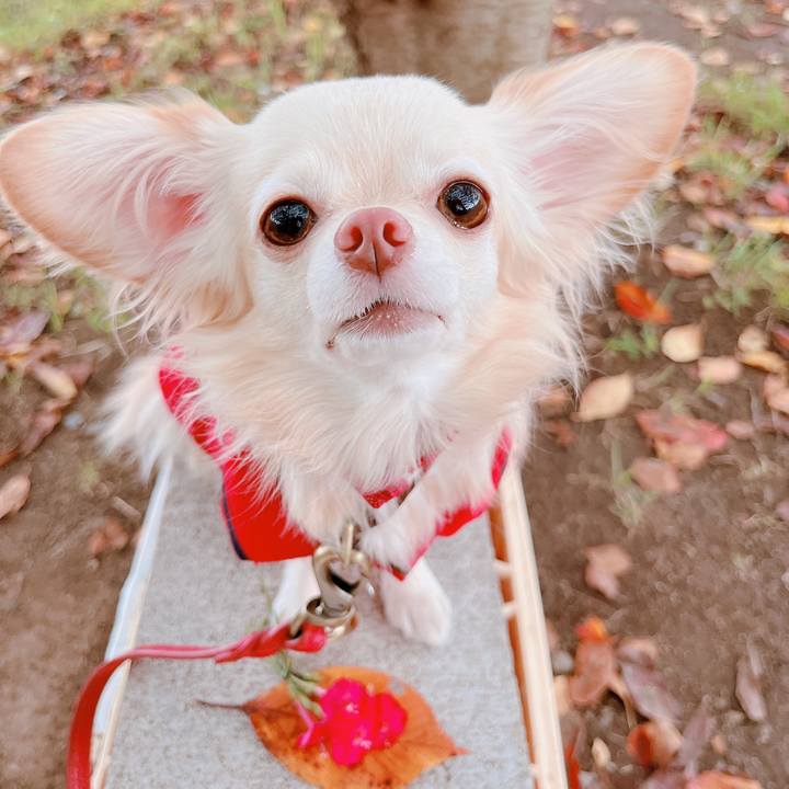 0344f5a3 8d05 4566 b193 500daad2f7ef 1665571530251