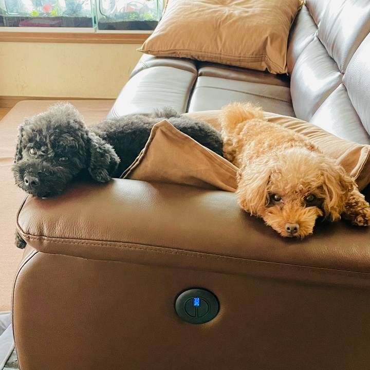 03450597 3eed 488c 82e2 35eb2aeb35d9 1663391456078