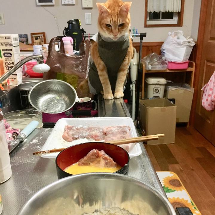 03451ab5 d2ca 47b7 8f91 f7ec02b45a7e 1538623494796