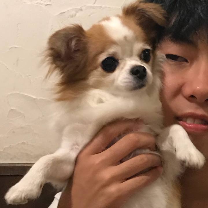 03452c68 ace5 4584 a009 46a2ec4d98f7 1536492920705