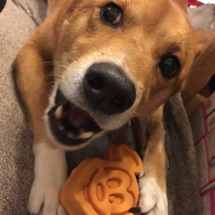 034569d8 5cb7 40f8 8a3c d04004ba708d 1541052210582