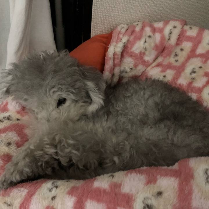 03458225 987d 49aa 8f82 aff520e8555e 1541213846220