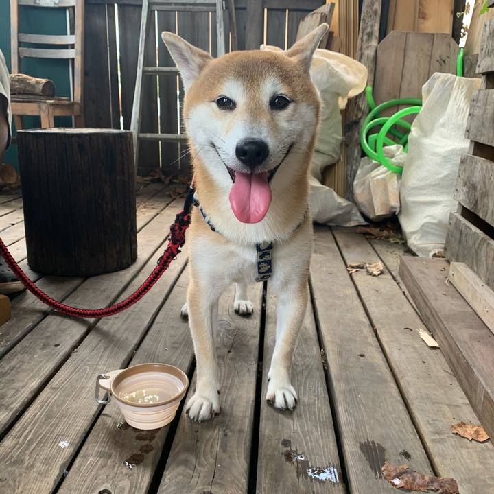 0345e712 49b8 4a53 84dd 3e4e8c867827 1603629327891