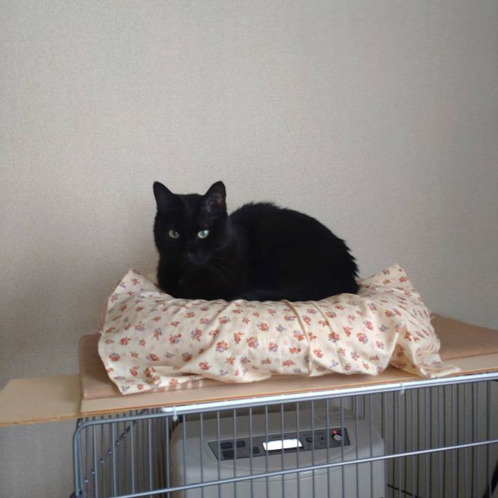 0345ed59 b93a 424a 9434 98edb7c6d390 1705062278356