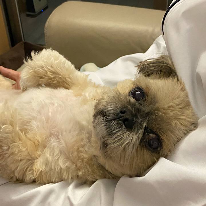 034618bf 9c1a 4f62 ac34 e69a9cae2c2f 1585482561584