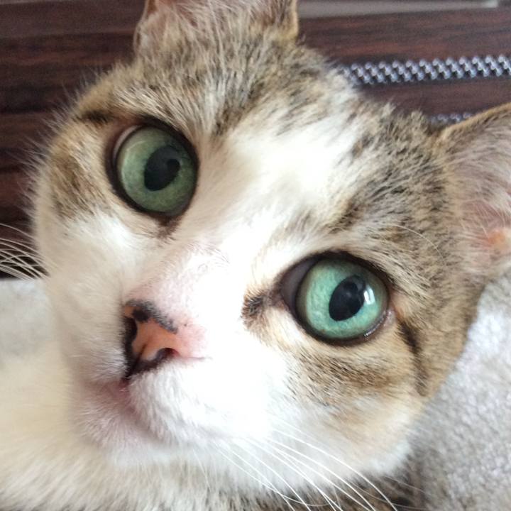 03462186 d0aa 48f6 a555 02b370601df1 1761355614317