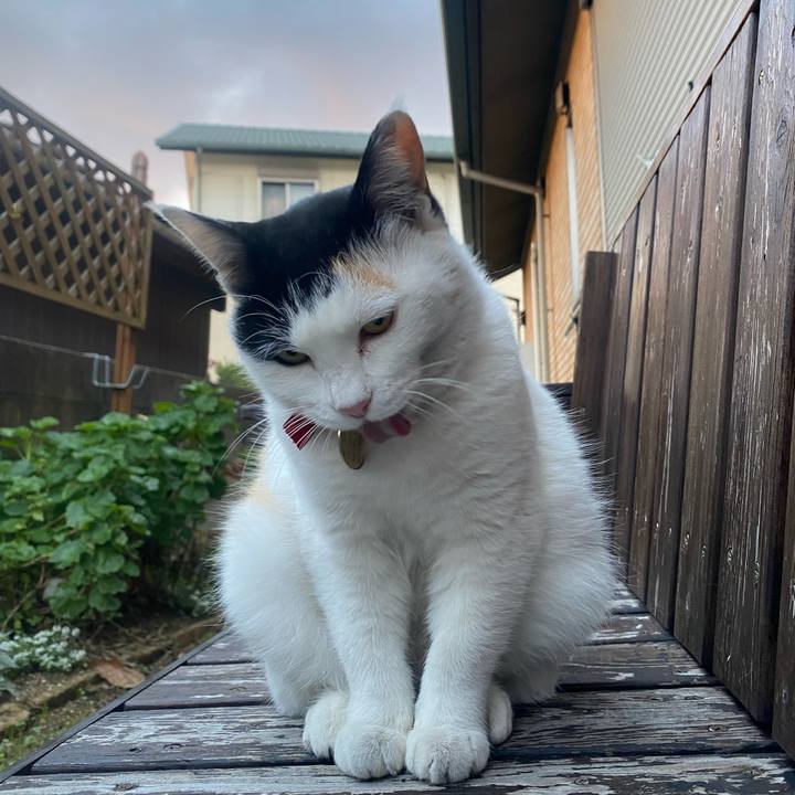 0346252f bc72 4805 a67e 548a71b2836e 1639868041370