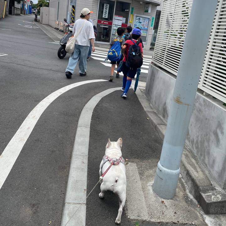 03462877 541e 4c5d 956f 9962803d0e02 1751496605276