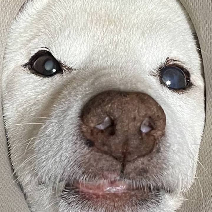 03462df2 744a 4f3d 867d 78bcefaa12f1 1672858555981