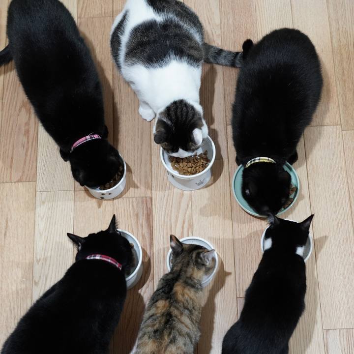 03462f2b 6c91 4cad 8924 5e62d8bd7d63 1575589992841