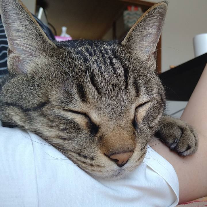 03465cb4 3aed 4837 9a82 a48cf14dd7ba 1685937074316