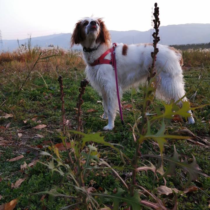 034668e2 4d16 4061 984e 9052d43569e2 1607399748341