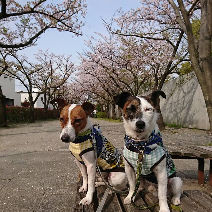 03467ffb 9815 49b0 9329 3bdb7dc76cb3 1554594504148