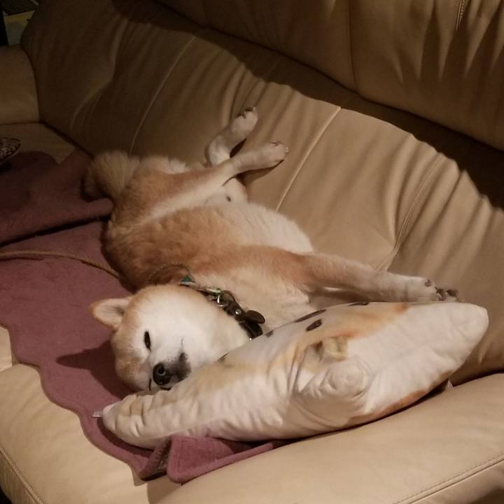 0346bdb9 e2b4 4984 8550 5628406e14fb 1701458692987