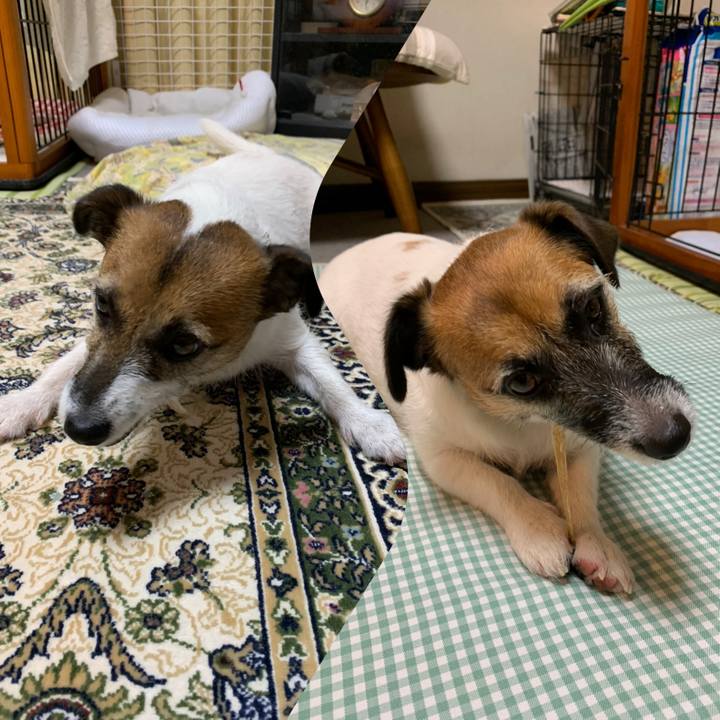 0346c8cc a3c9 4bff a8f0 ee8ebe643f4e 1600863329916