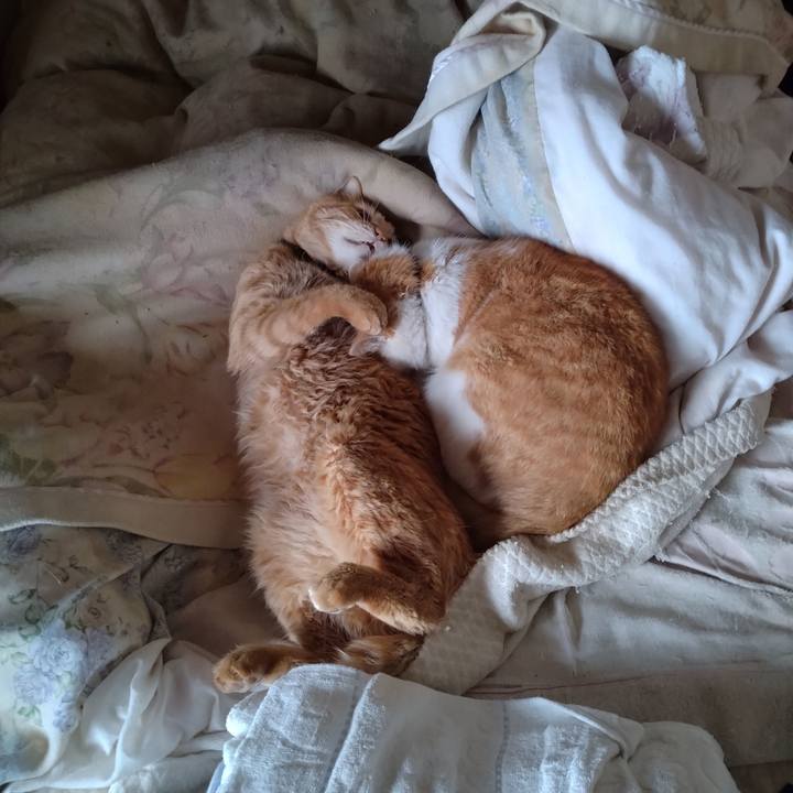 0346ce8b e0f9 4be2 a40c de1dba17491c 1773876415844